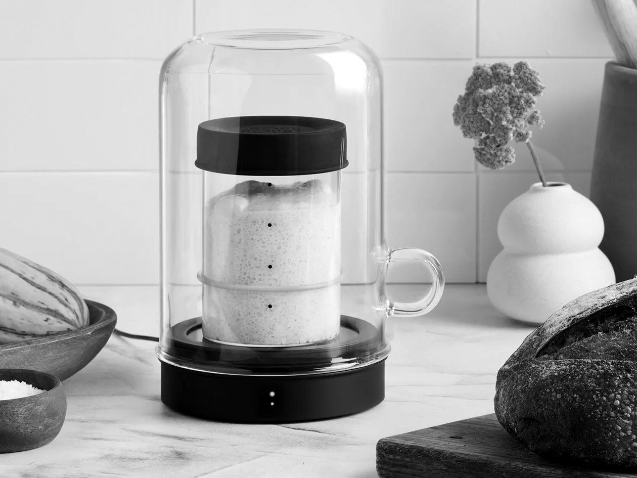 Sourhouse sourdough starter home under a glass dome on a kitchen counter